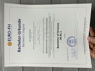 Is it possible to get a Euro-FH diploma of Germany?