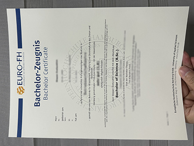 The free sample of a Euro-FH transcript in Germany.
