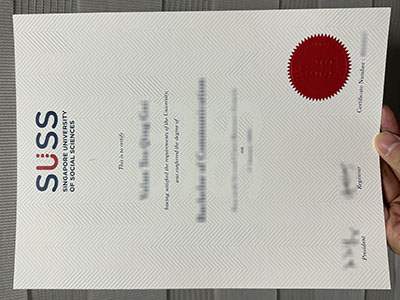 SUSS diploma1
