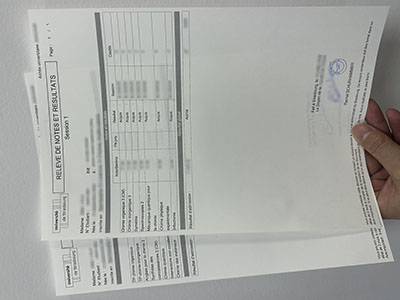 Université de Strasbourg transcript1