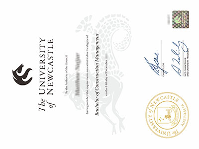 University of Newcastle diploma2-2