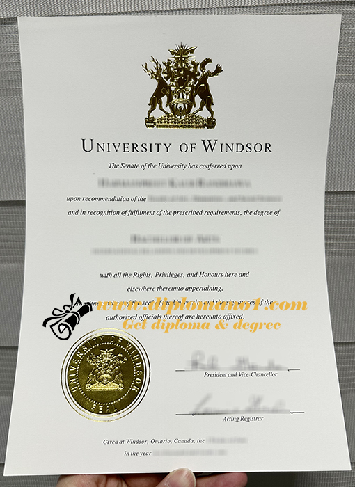 University of Windsor diploma